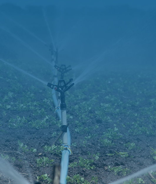 全價值鏈服務成行業核心競爭力 土壤快速檢測儀提供商筑牢智慧農業根基