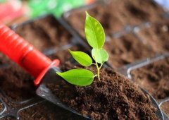 土壤養(yǎng)分檢測儀的應(yīng)用主要是在哪里？